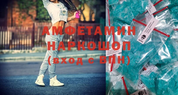 стаф Алзамай