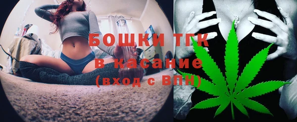 твердый Алексеевка