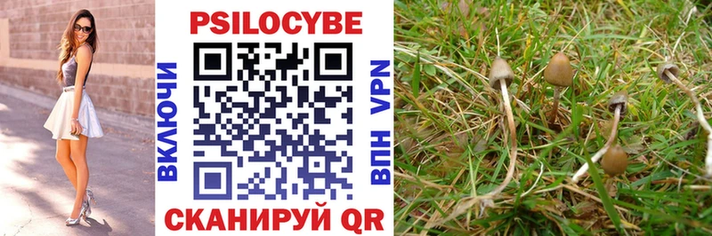 Галлюциногенные грибы ЛСД Петушки