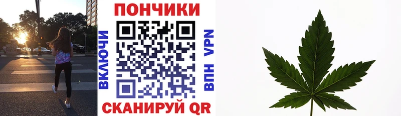 сколько стоит  Петушки  маркетплейс Telegram  Шишки марихуана OG Kush 